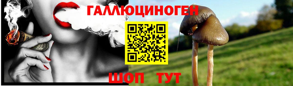 Галлюциногенные грибы ЛСД  Вход с VPN  где купить наркоту  Азов 